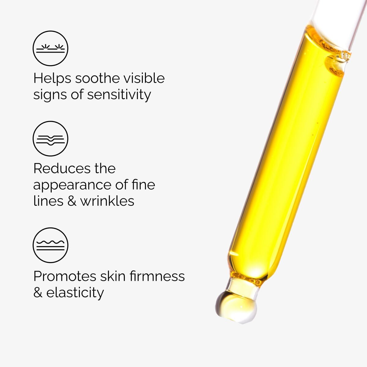 100% Fermented Rose Hip Seed Oil - Clear Balance