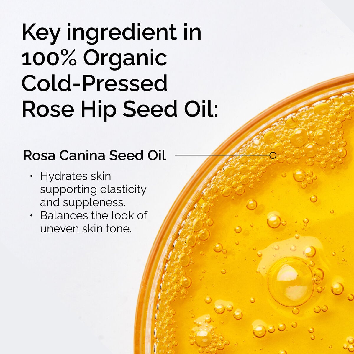 100% Organic Cold-Pressed Rose Hip Seed Oil - Clean Mood