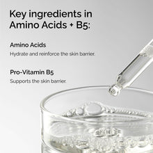Amino Acids + B5 - Skin Support