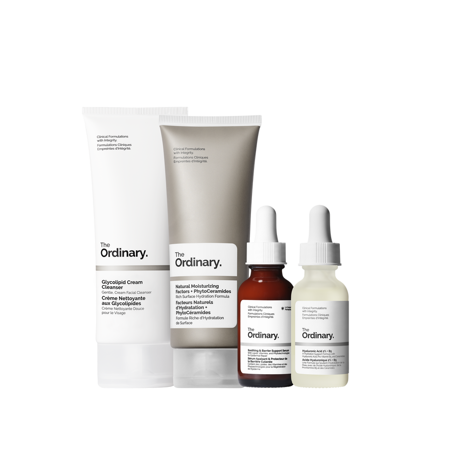 The Barrier Support Collection - Ready Routine