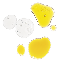 The Antioxidant Collection - Travel Edit